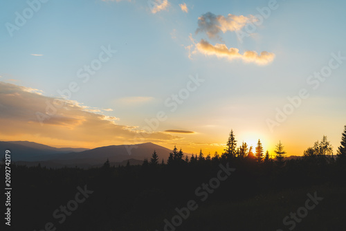 Beautiful sunset over the Carpathian mountains with sun rising or setting behind pine trees.