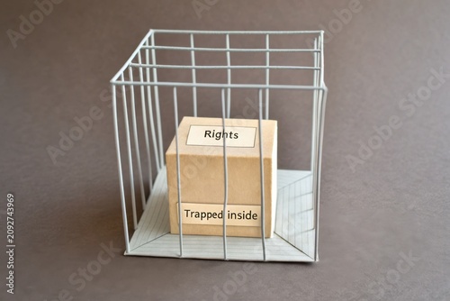 Box Labeled Rights Trapped Inside a Wire Cage