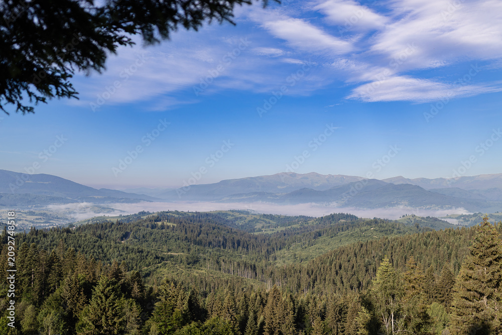 Obraz premium Scenic panoramic view of Carpathian mountains with foggy valley in morning light.
