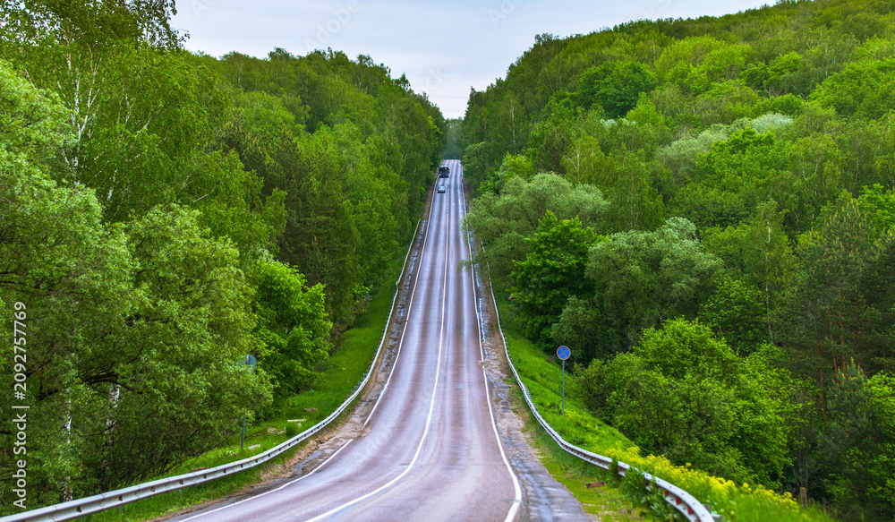 Obraz premium Scenic asphalt road through a lush green summer forest, landscape photography