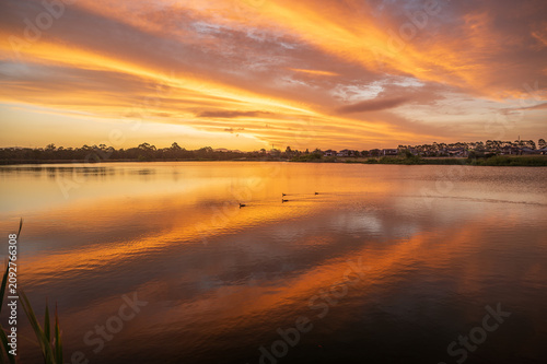 Spring Farm is a suburb of the Macarthur Region of Sydney in the state of New South Wales, Australia in Camden Council	