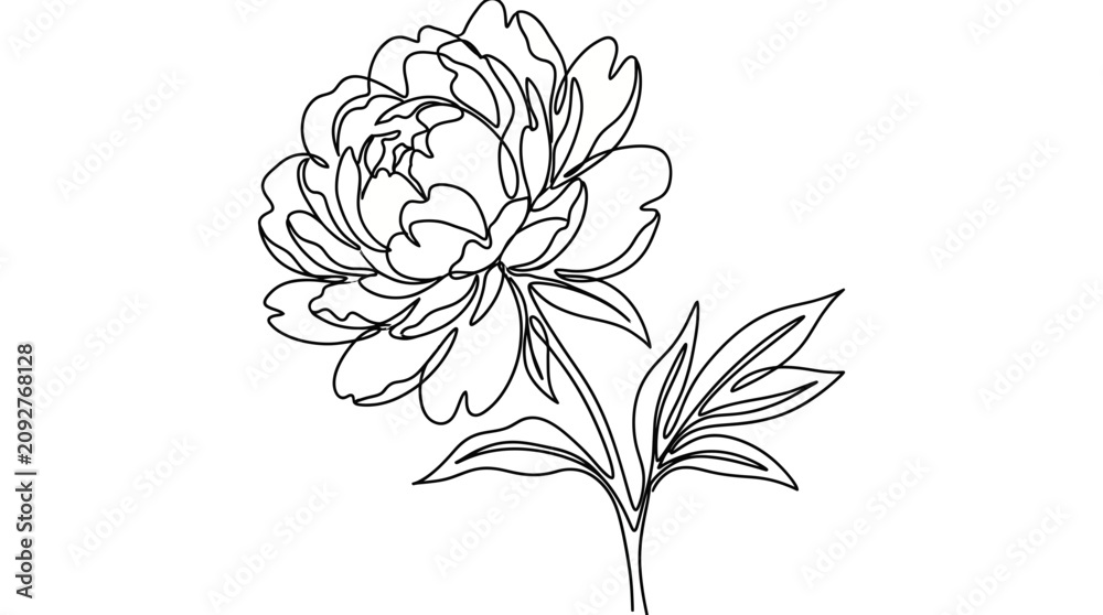 Fototapeta premium Peony Flower Continuous Line Drawing Vector Illustration