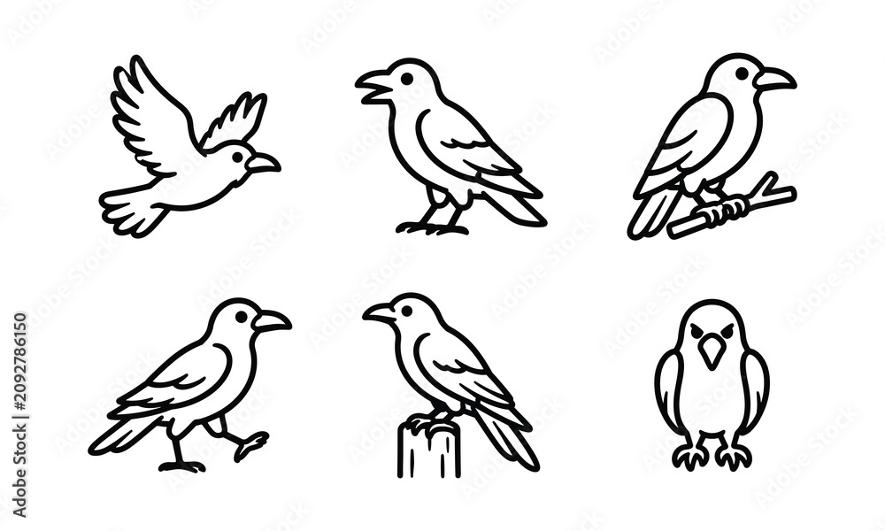 Fototapeta premium Raven bird vector icons in different poses for halloween graphic artwork.
