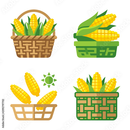 Set of fresh corn cobs in baskets flat vector illustration
