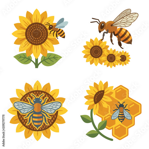 Set of honey bee and sunflower flat vector illustrations