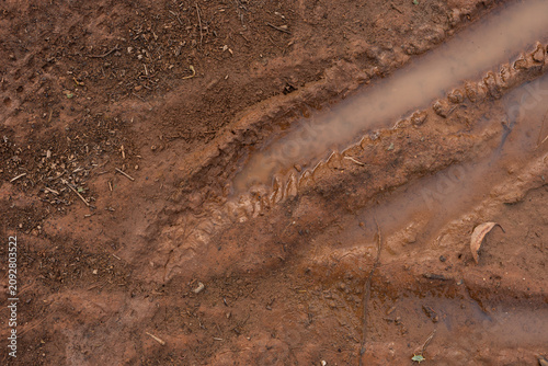 Cuadro en lienzo tire tracks in the sand