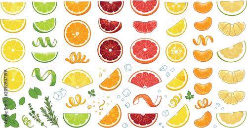 Foto Fresh citrus slices wedges and zests vector illustration set with orange lemon l