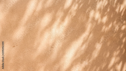A textured surface with soft shadows creating a warm, natural ambiance. The earthy tones and gentle light play enhance the visual appeal of the backdrop.