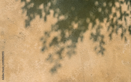 A close-up view of a textured wall featuring soft shadows cast by foliage above. The combination of earthy tones creates a warm and inviting atmosphere.