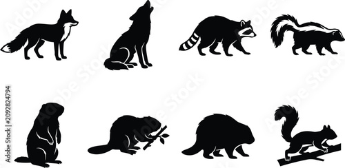 Fotografija Set of black silhouettes featuring various North American forest animals and woo
