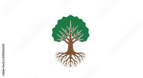 Stylized tree illustration with green canopy and brown trunk on white
