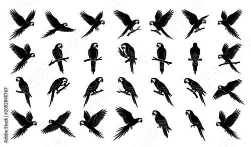 Foto Macaw Parrot Silhouette Collection in Various Poses and Flight Patterns