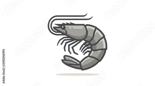 Fotografie Detailed illustration of a shrimp.