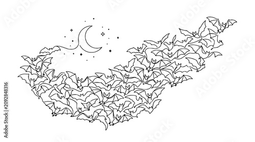 Flock of Bats Flying at Night with Crescent Moon and Stars, Black and White Illustration