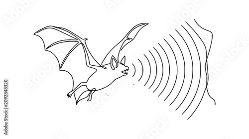 Bat Echolocation, Sound Waves, Navigation, Night Flying Mammal, Nature Illustration