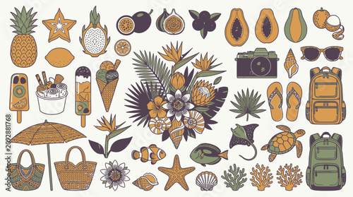 Illustrazione vettoriale di elementi estivi tropicali e marini, tra cui frutta, gelati, fiori e animali marini.