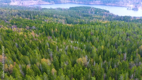 Wood and Lake in Norway