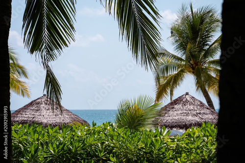 Photos Tropical beach scene framed by palm leaves with thatched huts and calm blue ocea