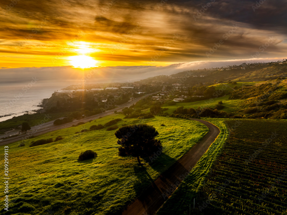 Obraz premium Golden sunset over coastal hills with winding road and vineyard