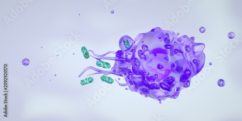 Fotografía Macrophage engulfing e.coli bacteria, 3d render, photo stock