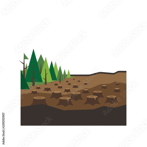 Deforestation landscape with tree stumps and remaining forest