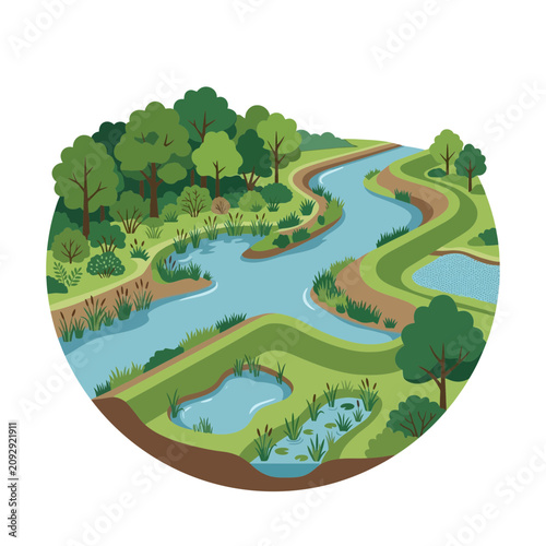 Cross-section of a river ecosystem with diverse flora and fauna