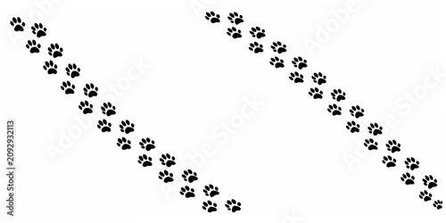 Tableau sur toile Black Paw Prints Silhouette On White Background Animal Tracks Pattern