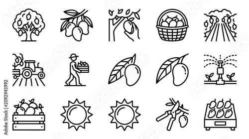 Mango Farm Icons Set: Harvesting, Growing, and Fruit Collection