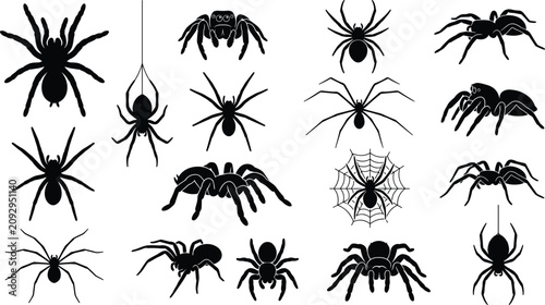 Quadro su tela Spider silhouette collection, arachnid species icons, creepy insect illustration