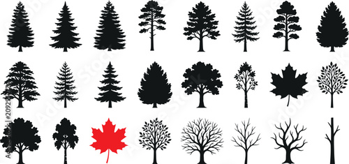 Bild auf Leinwand Tree Silhouette Collection with Evergreen Deciduous Bare Trees and Red Maple Le