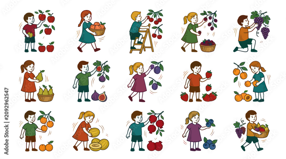 Fototapeta premium Children Harvesting Diverse Fruits and Berries, Flat Cartoon Illustration