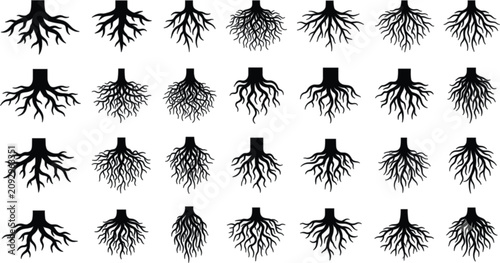 Photos Plant Root Systems Black Silhouette Graphic Icons Mega Vector Collection Set