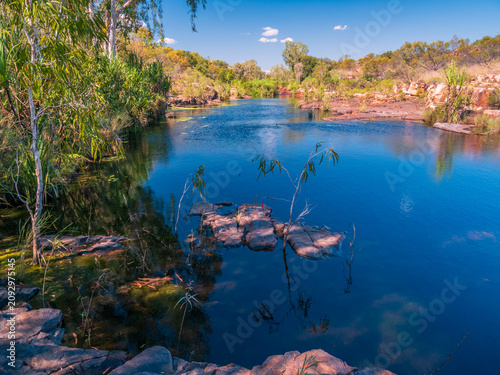 Kimberley Rock Pool with Waterlilies
