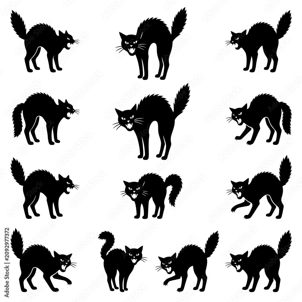Obraz premium Set of angry hissing cats silhouettes in aggressive postures isolated on a white background