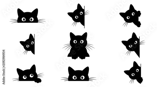 Quadro su tela Black cat silhouettes peeking around corners and borders.