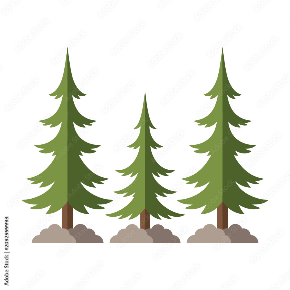 Fototapeta premium Three green pine trees on a white background with brown trunks and branches
