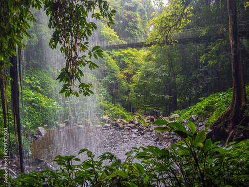 Rainforest Waterfall with Bridge