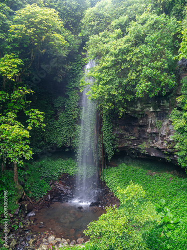 waterfall in the forest vertical orientation