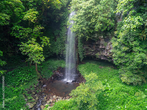  Rainforest Waterfall Vertical Orientation