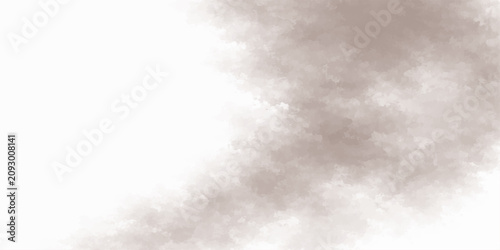 Quadro su tela Wispy grey smoke curls and drifts against a stark white background, creating an abstract visual that evokes a sense of mystery and ethereal transformation