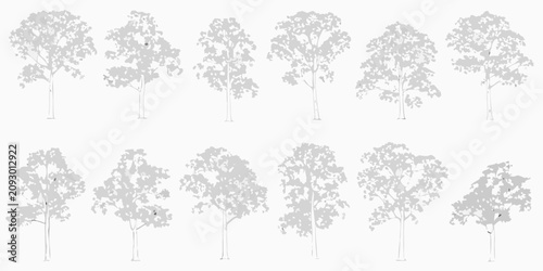 Collection of ten hand drawn tree elevation sketches gray toned vector illustrations on a white background arboricultural