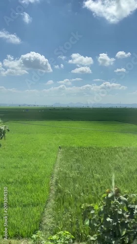 Beautiful countryside view from a moving train featuring lush green rice paddies, distant mountains, and a clear blue sky. A relaxing travel landscape in rural Indonesia.