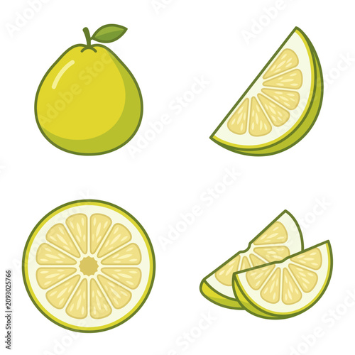 Bild auf Leinwand Fresh green lime fruit slices citrus.