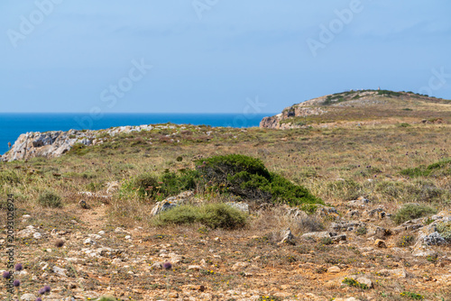 Wild coastal scrubland stretches across a rocky headland overlooking the deep blue Atlantic Ocean in Portugal's Algarve. Dry grasses and hardy shrubs cover the rugged terrain beneath a clear sky