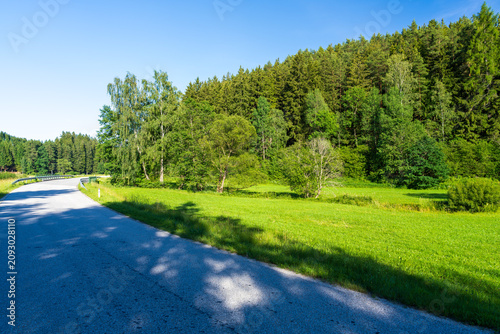 Sunlight filters through leafy trees, casting dappled shadows on a winding country road beside green fields in Austria. Dense forest and a bright blue sky complete this peaceful rural scene
