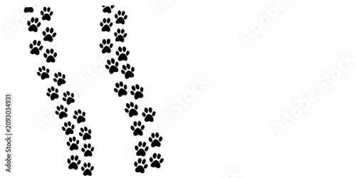 Tableau sur toile Black Paw Print Silhouettes On White Background Animal Track Pattern