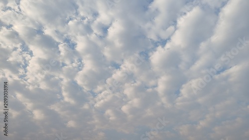 Photography A wide horizontal shot capturing a dense blanket of soft white and grey cumulus clouds rippling across a bright blue sky
