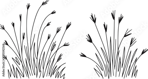Tablou pe pânză 背の高い草の2つの塊の白黒イラスト
