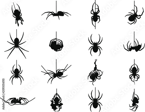 Tableau sur toile Black widow spider silhouette collection