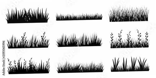 Fotografía Black Silhouette Grass Illustrations With Floral Elements On White Background
